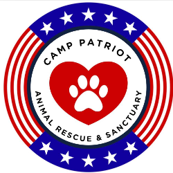 shelter logo