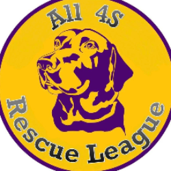 shelter logo
