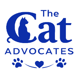 shelter logo