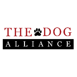shelter logo