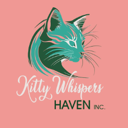 Kitty Whispers Haven