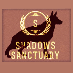 shelter logo