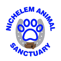 shelter logo