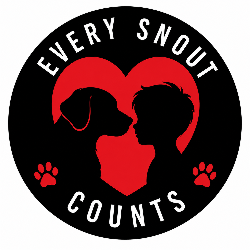 shelter logo
