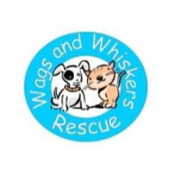shelter logo