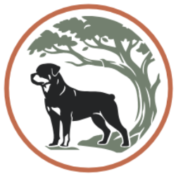 shelter logo
