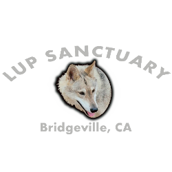 shelter logo