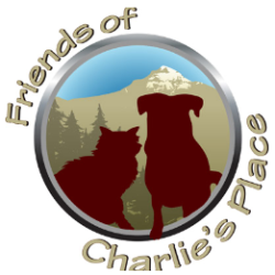 shelter logo