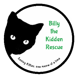 Billy the Kidden Rescue