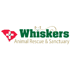 shelter logo
