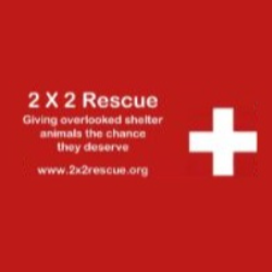 shelter logo