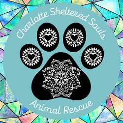 Charlotte Sheltered Souls Animal Rescue