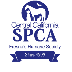 shelter logo