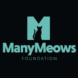 shelter logo