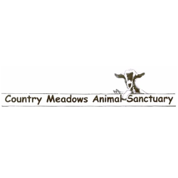 shelter logo