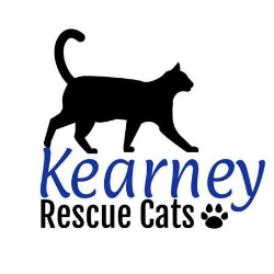 shelter logo