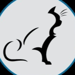 shelter logo