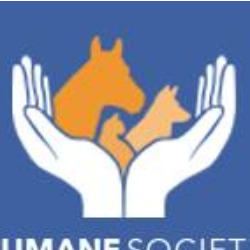 shelter logo