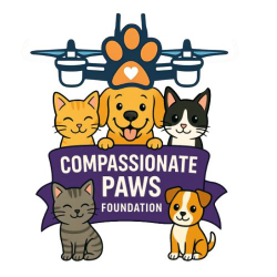 shelter logo