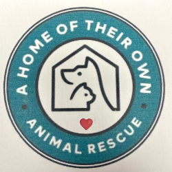shelter logo