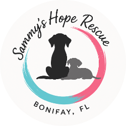 shelter logo