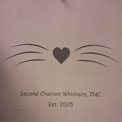 shelter logo