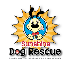 shelter logo