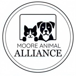 shelter logo