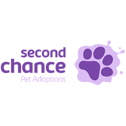 shelter logo