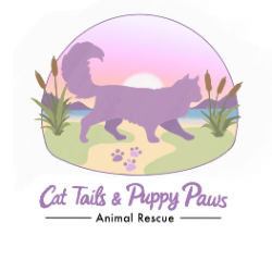 Cat Tails and Puppy Paws
