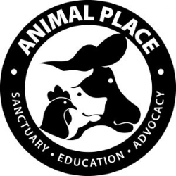shelter logo