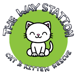 shelter logo