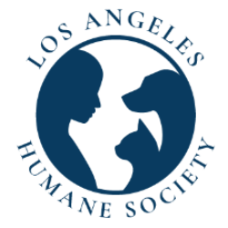 shelter logo