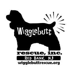 shelter logo