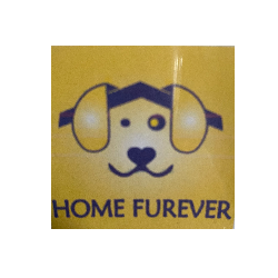 shelter logo