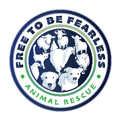shelter logo