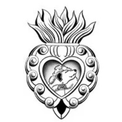 shelter logo