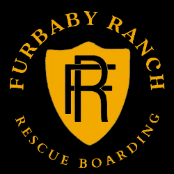 shelter logo