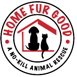shelter logo
