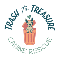 shelter logo