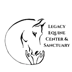 shelter logo