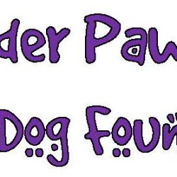 Elder Paws Senior Dog Foundation