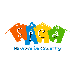 shelter logo