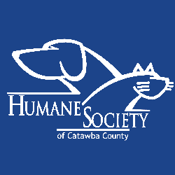 shelter logo