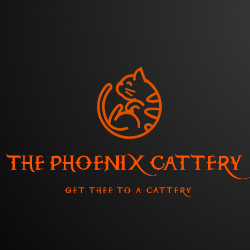 The Phoenix Cattery