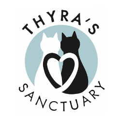 shelter logo