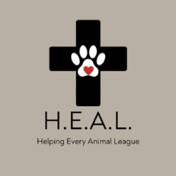 shelter logo