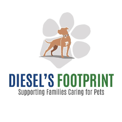 Diesel’s FootPrint