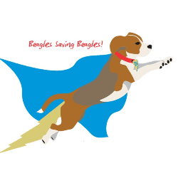 BREW | Beagle Rescue, Education & Welfare of N VA