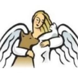 shelter logo